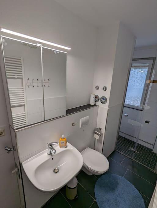 Ferienwohnung Elbaue Barby Екстериор снимка